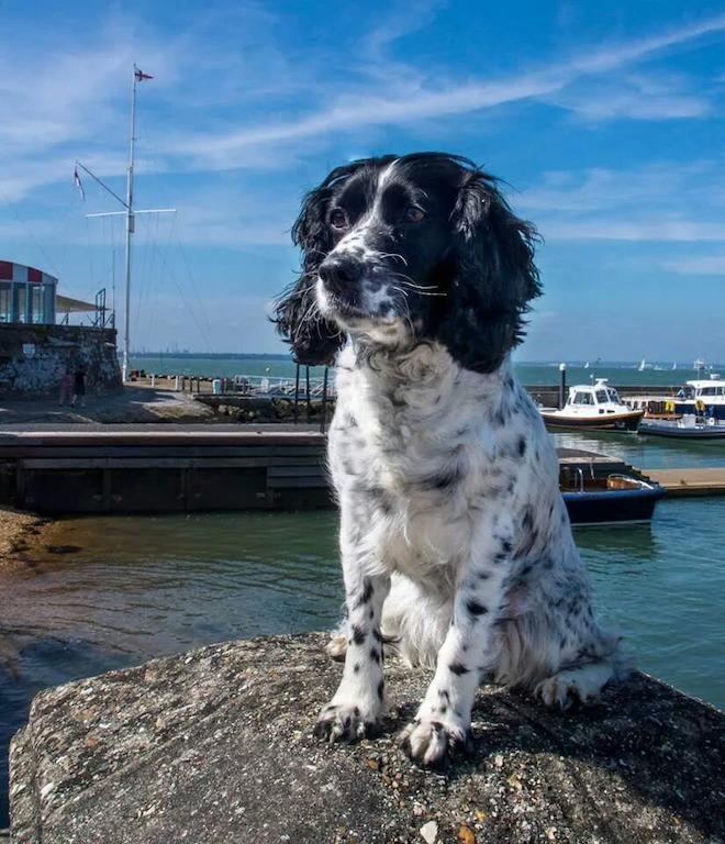 Gray'S Inn Cowes  Dış mekan fotoğraf
